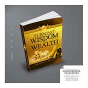 Turning Wisdom To Wealth by John O Idowu (2)